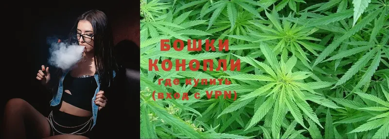 Канабис SATIVA & INDICA  наркота  Котовск 